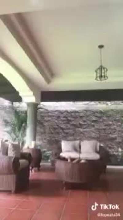 Tsamina mina aaahhh!