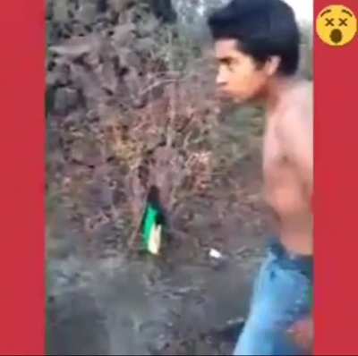 Video que forma parte del patrimonio cultural de M&eacute;xico lindo y querido
