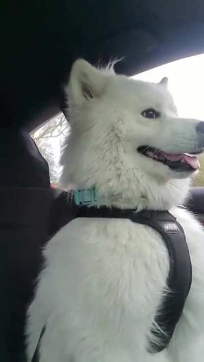 Drive Time!