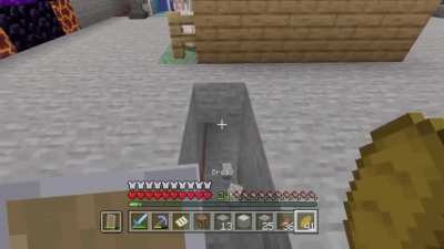 Minecraft moment