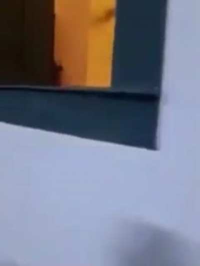Vis&atilde;o