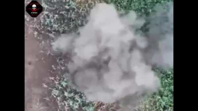 Ukraine War | UAV Battalion "Bulava" of the 72nd Mech Brigade strike Russians(July 27, 2024)