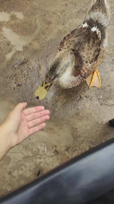 aaaaaaagh!!!!!!!