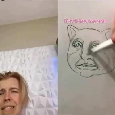 Losercity cats 