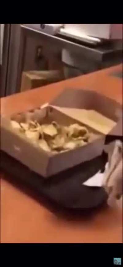 MORE CHEESE MORE CHEESE