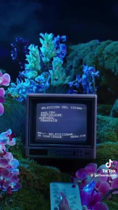 Orqu&iacute;deas Album Announcement