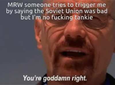 Fuck tankies