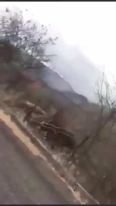Here’s footage of the ambush between CJNG and Mexican marines that occurred on Sunday (June 7, 2020)