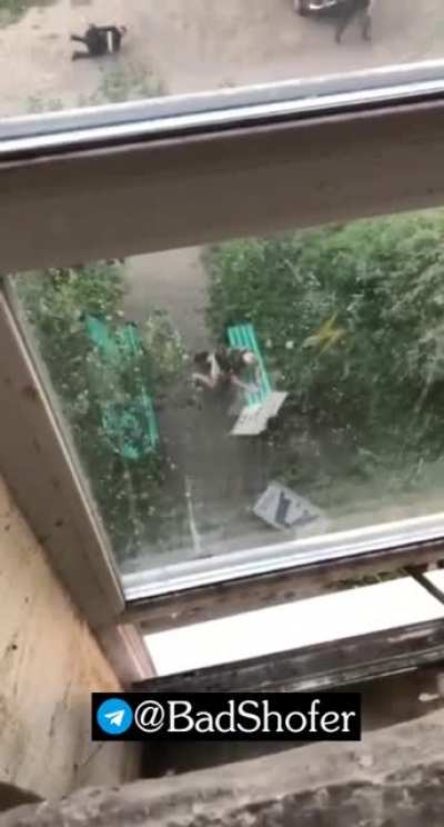 Blew himself up with a grenade.