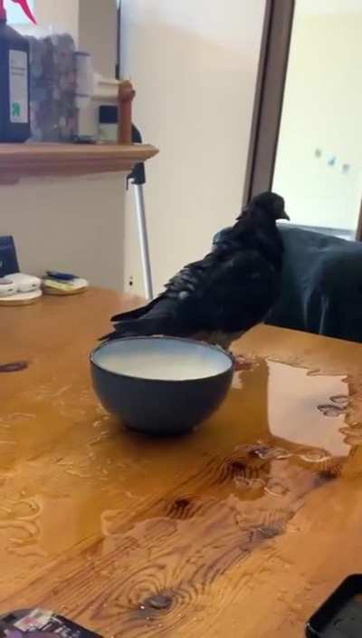 Now I&rsquo;m all wet...