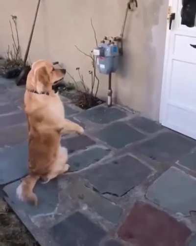Waiting your best friend to come out and play