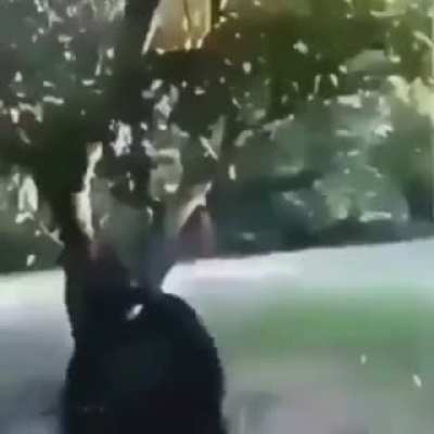 NooooOooOooOo