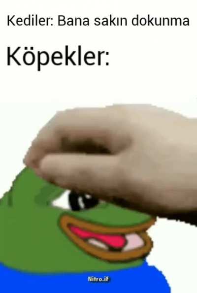 K&ouml;pekler muhteşem