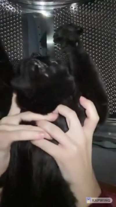 Interstellar Cat