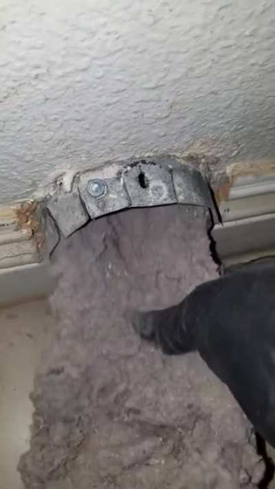 Years worth of dryer lint