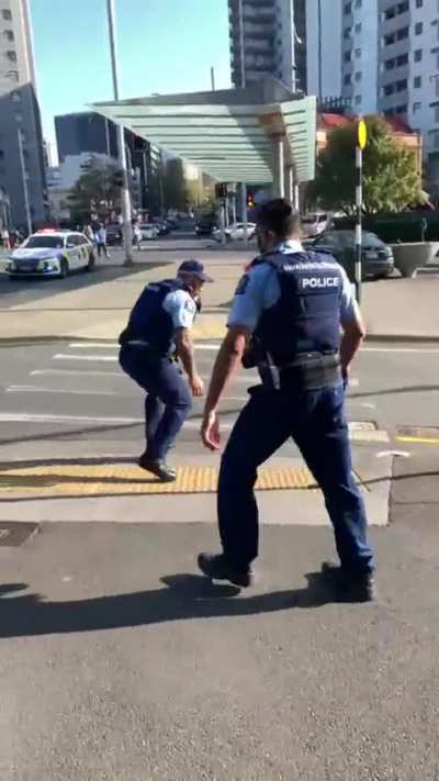 Police Chase UoA