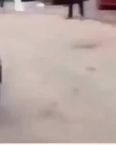Hard fighting