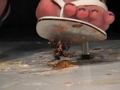 Stuck to the soles