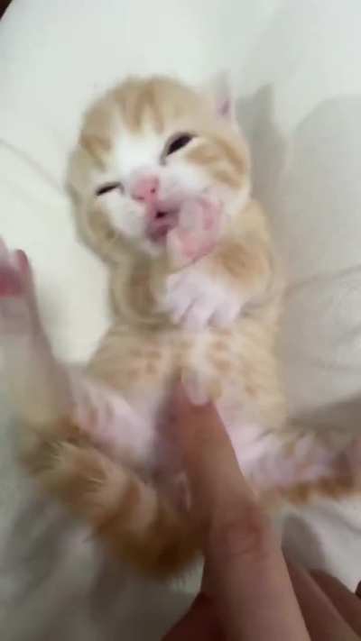 Learning to make cute biscuits