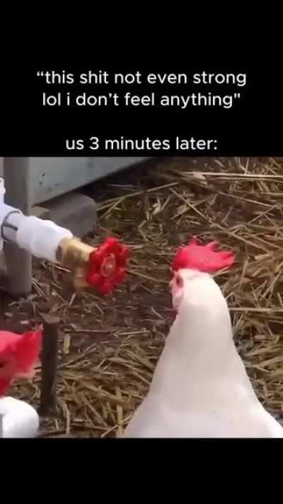 guh