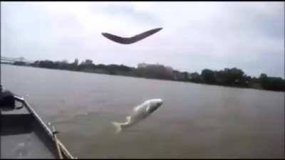 Blursed_fishing