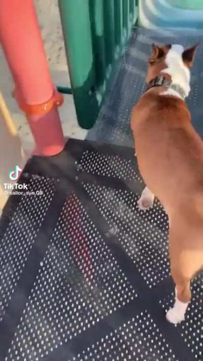 The spin