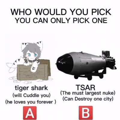 make frog user flair
