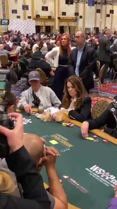 that dog is there to sniff out aces