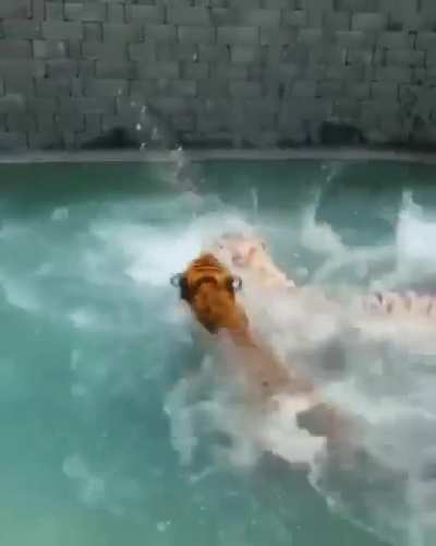 &ldquo;Death Pool...&rdquo;