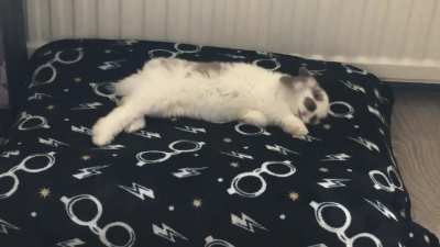 Must make myself comfortable!