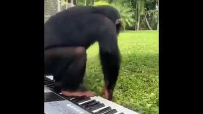 monke