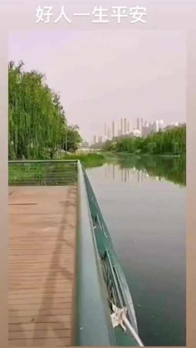 男人把头伸进水里让沙漠变绿滑稽的笑哈哈悲伤的真实故事