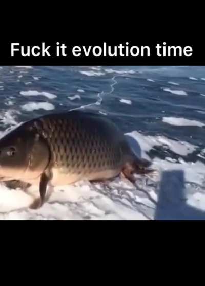 Hora de evoluir