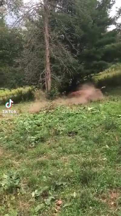 Weeeeeeee!!!
