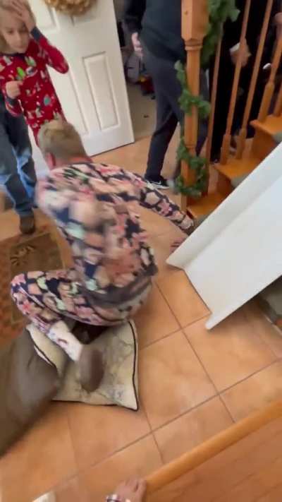Stairway Slide
