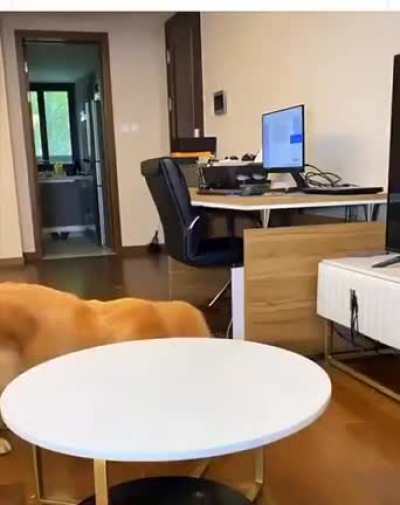 I never ate