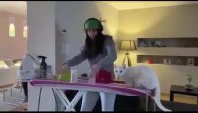 DJ&rsquo;s assistant