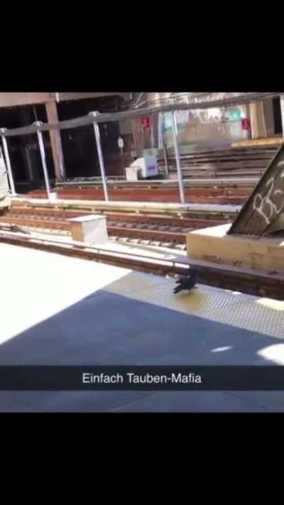 Subway drones sacrifice a rogue drone