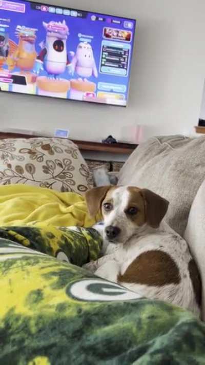 My juicy fart irritated my dog&hellip;