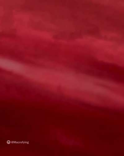 Zooming into a cat's eye