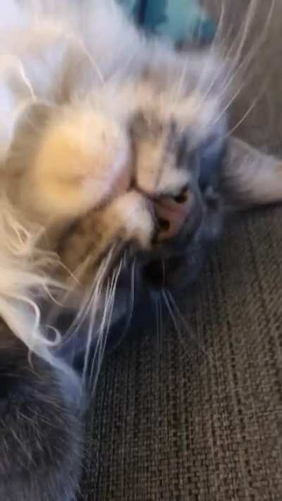 Sleepy fireworks