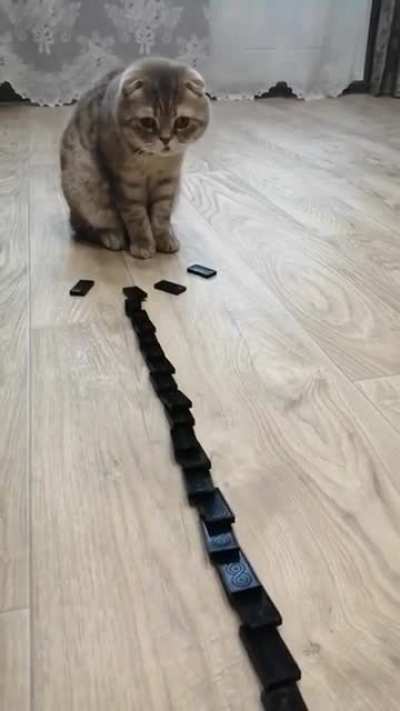 &ldquo;Did I do that?&rdquo;