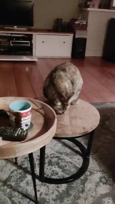 Is there a sub for a very sneaky kitty