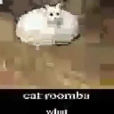 Cat Roomba