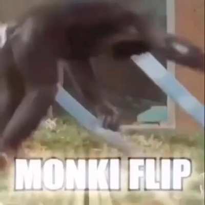 Jaja un mono
