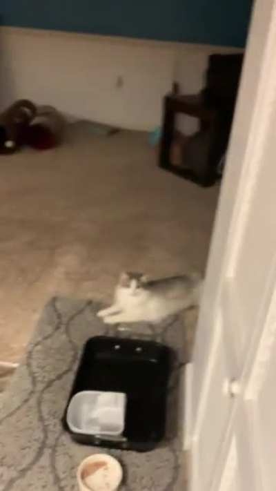 Surprise!