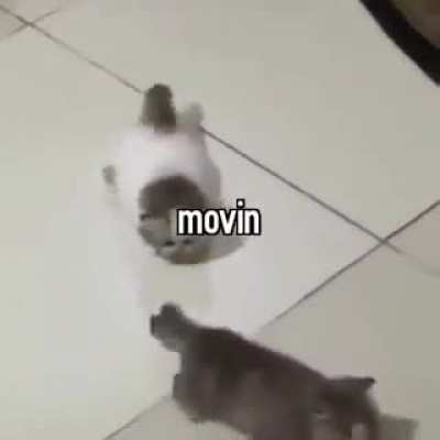 movin 👍