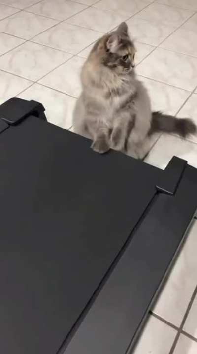 Morning exercise