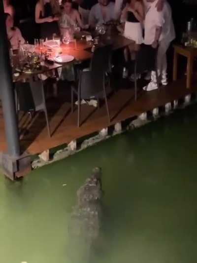 Dinner with a view