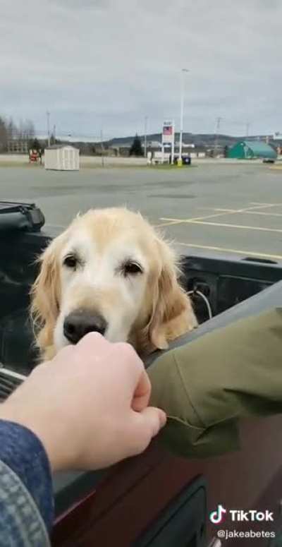 Surprise!